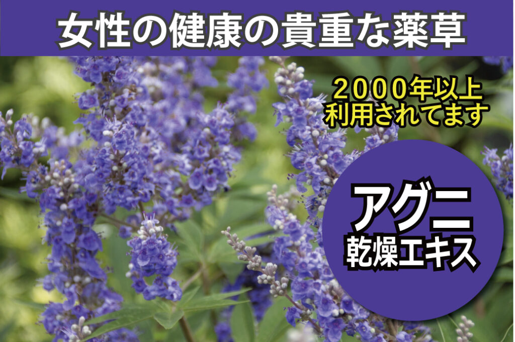 女性サプリメント楽美姫大豆イソフラボン　更年期障害　生理不順　イライラ　ホットフラッシュ